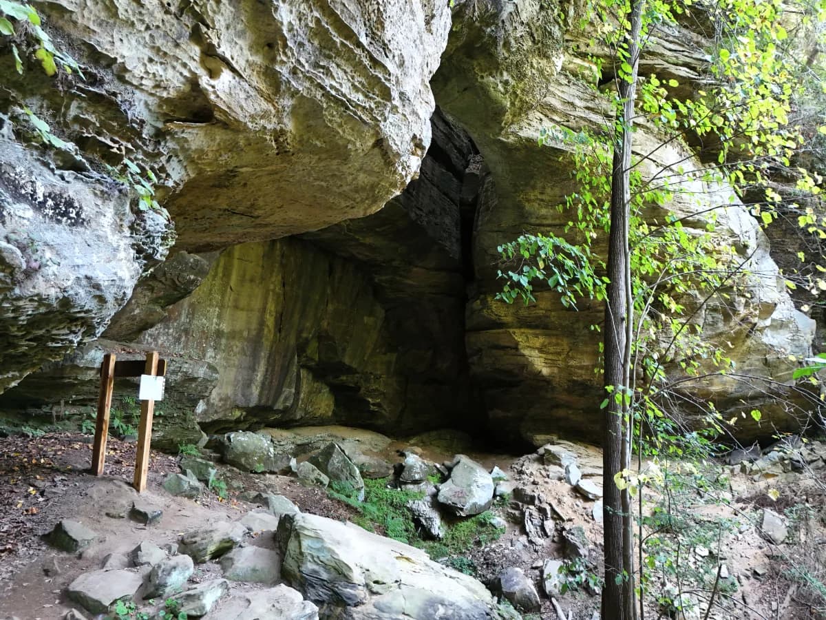 Fern Bridge located at Three Bridges Trail